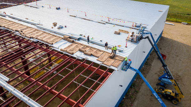 Best Basement Insulation  in Dakota City, NE